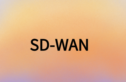 SD-WAN提供安全、靈活且經(jīng)濟(jì)高效的解決方案