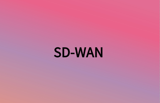 除連接性外，SD-WAN還提供很多網(wǎng)絡(luò)優(yōu)勢